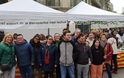 BALANÇ DE SANT JORDI 2024